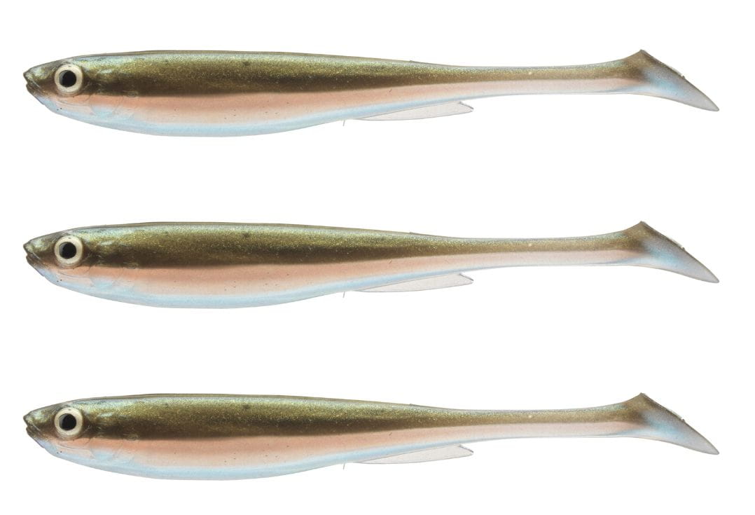 Tier, Fische, Hering, Leben im Meer, Sardine