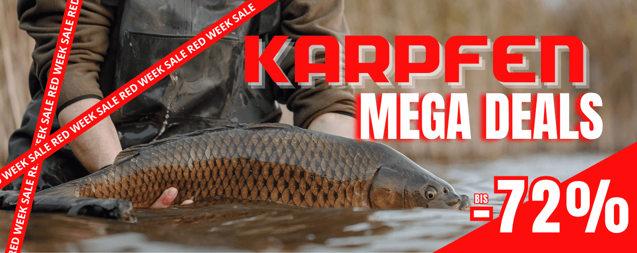 fisch, angeln, Karpfen
