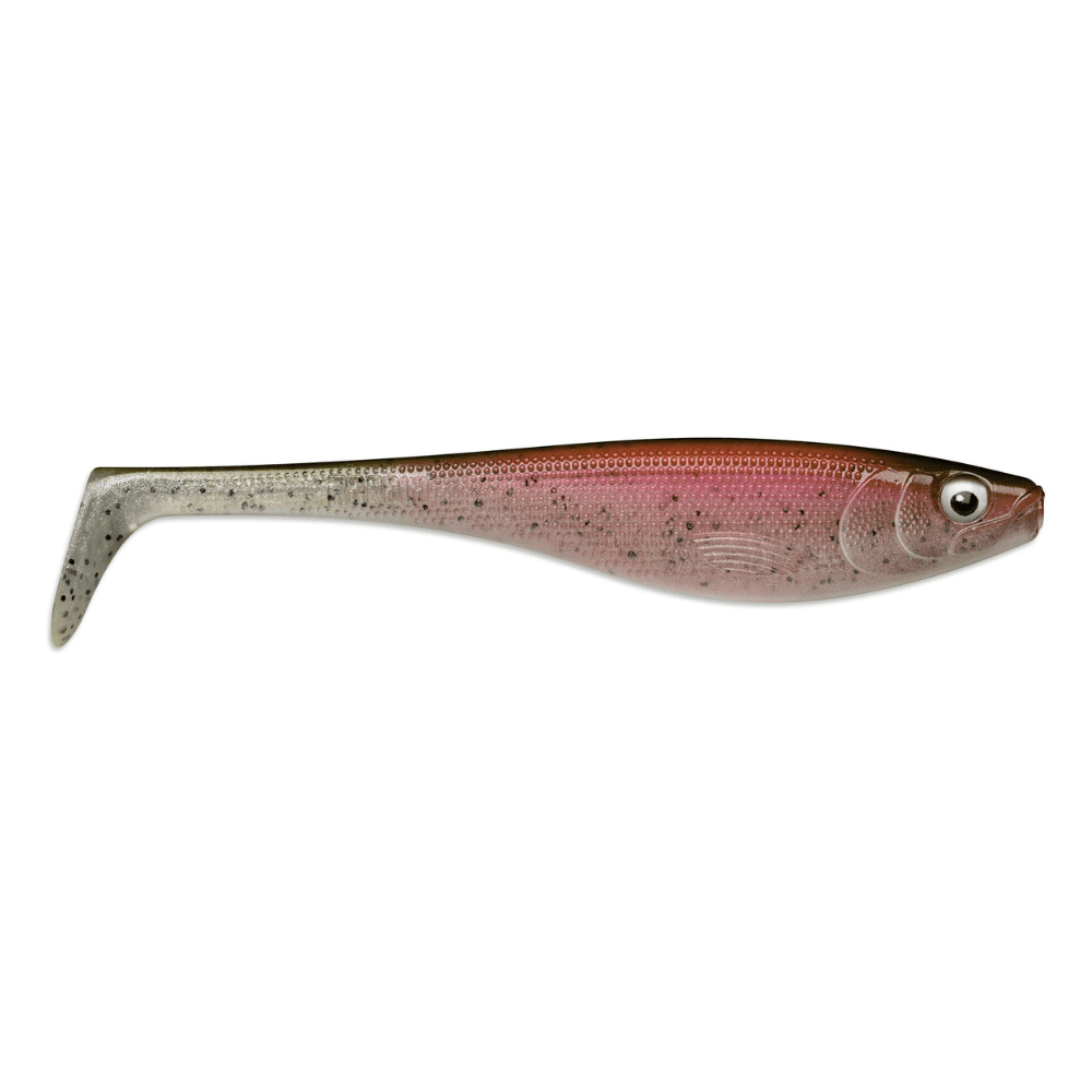 Rapala Soft Peto 16cm 36g Live Rainbow Pstruh Tier, Fische, Leben im Meer, Hering