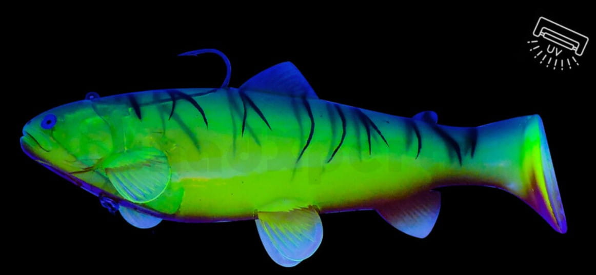 Tier, Fische, Leben im Meer