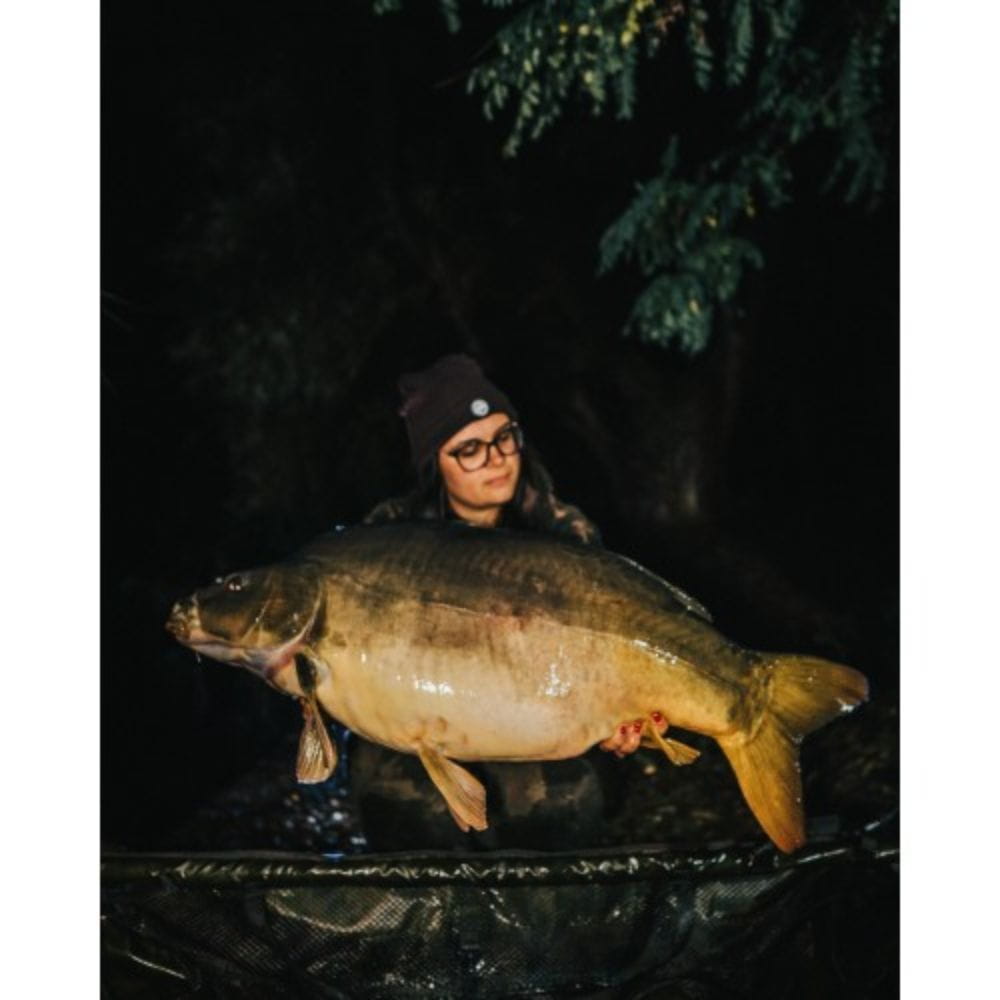 Fische, Leben im Meer, Karpfen, Gesicht, Person