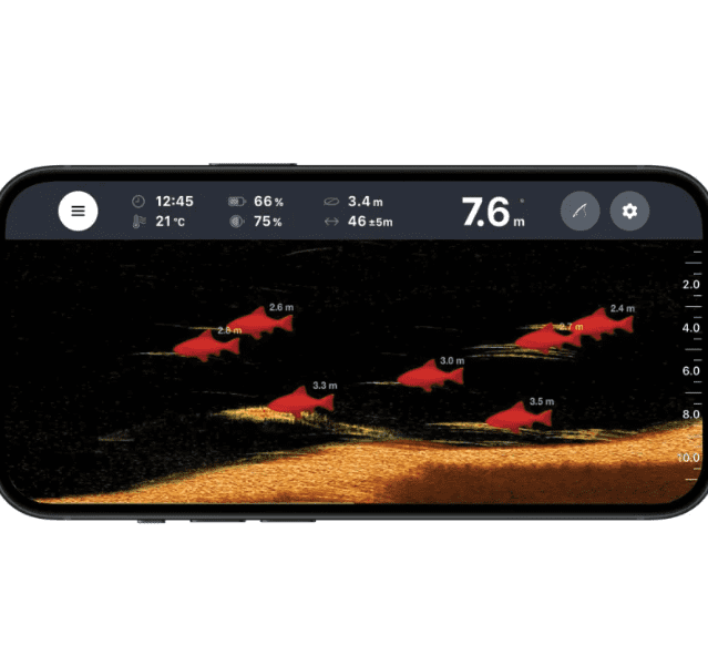 fisch, Fischfinder, Unterwasseransicht, sonar, Tiefenmarken