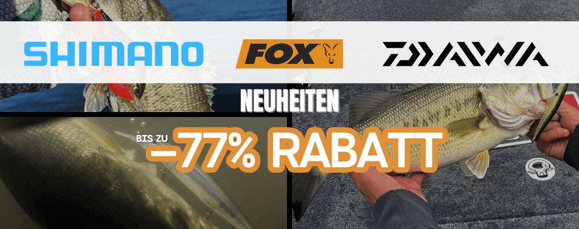 Tier, Fische, Leben im Meer