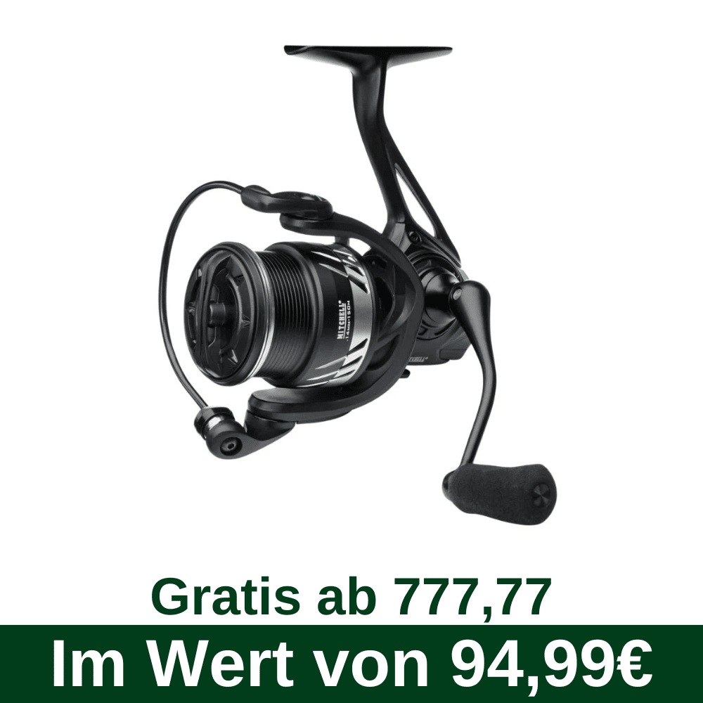 F77 Gratis vanaf 777,77 - Mitchell MX5 2500S HS Rolle, Kamera, Elektronik, Videokamera, Kopfhörer