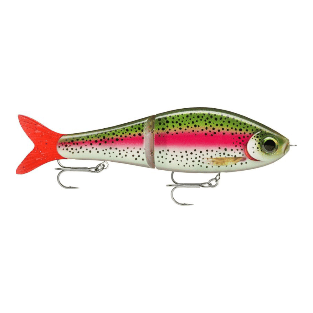 Rapala Super Shadow Rap Glide 16cm 86g Élő szivárványos pisztráng Tier, Fische, Leben im Meer, Köder zum Angeln