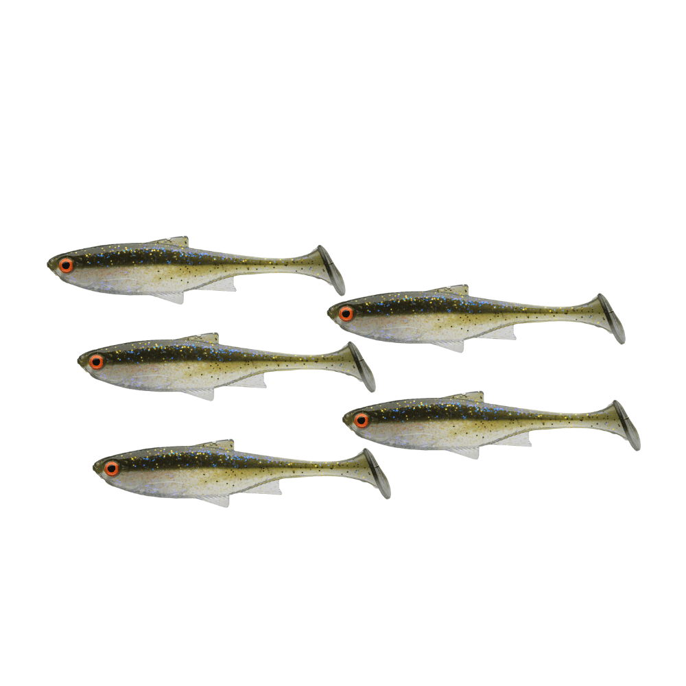 Tier, Fische, Hering, Leben im Meer, Sardine