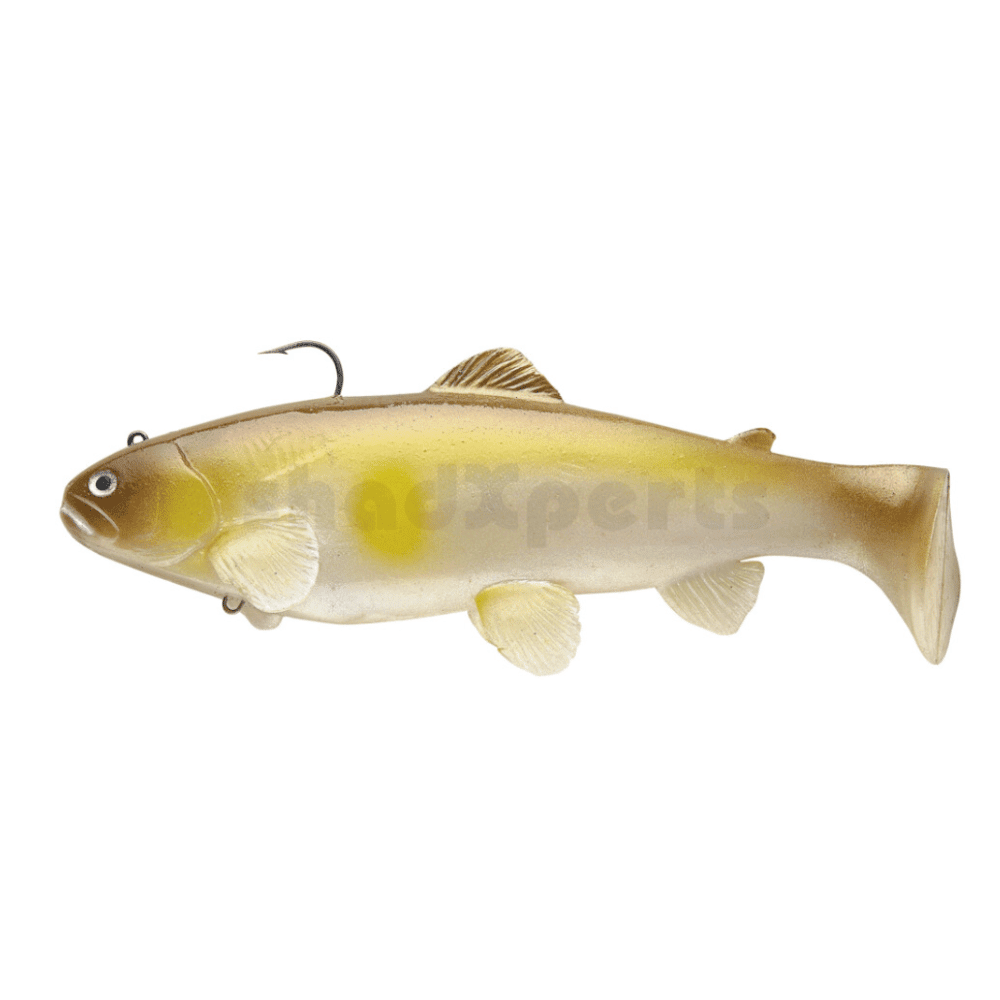 Castaic Swim Bait Trota 20cm affondante Ayu Tier, Fische, Leben im Meer