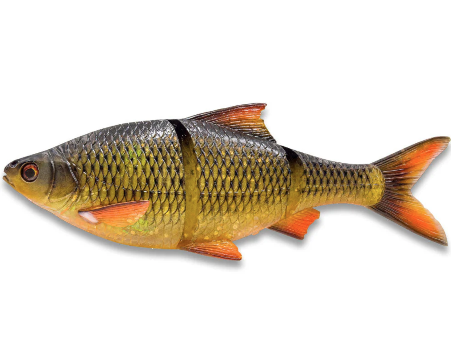 forelsang, goldener carp, orangene Flossen, Schuppen, Kunstköder