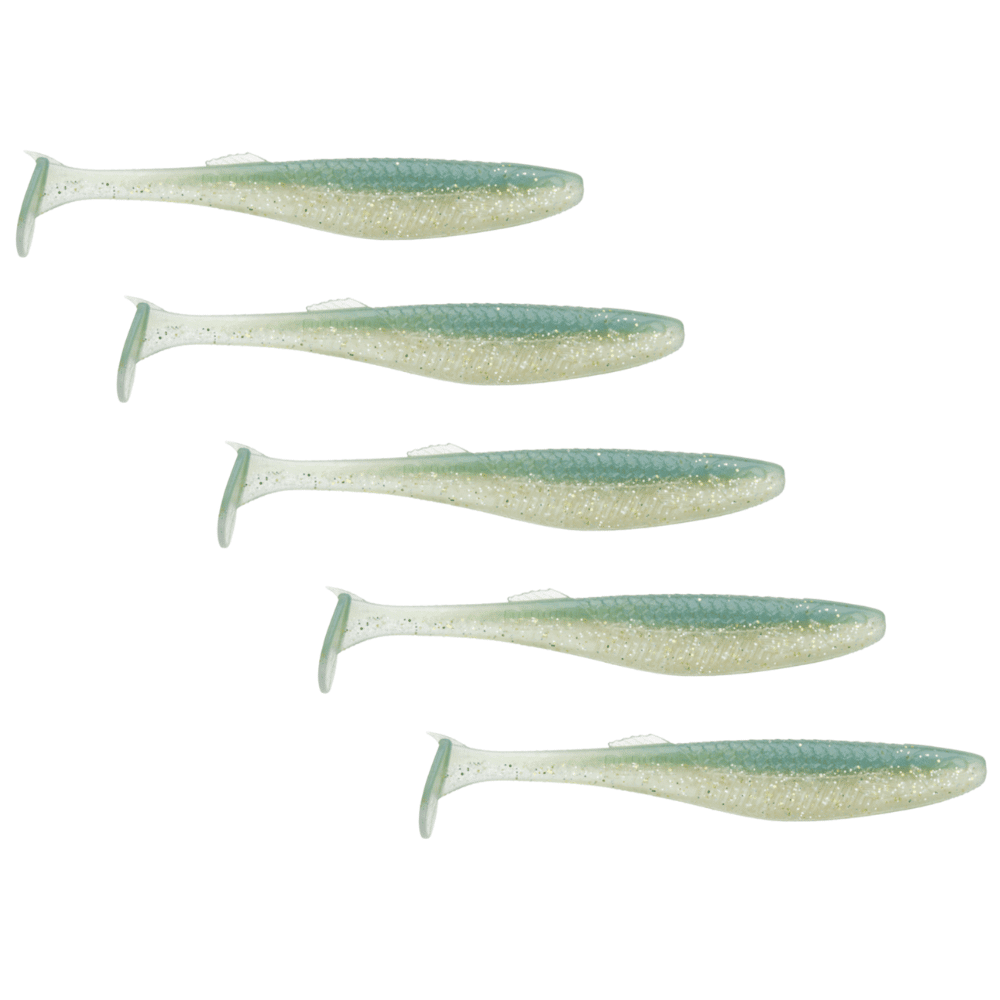 Tier, Fische, Hering, Leben im Meer, Sardine