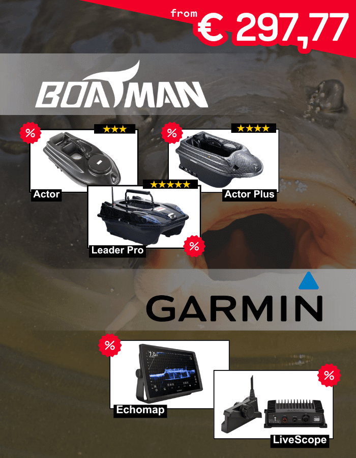 Auto, Transport, Fahrzeug