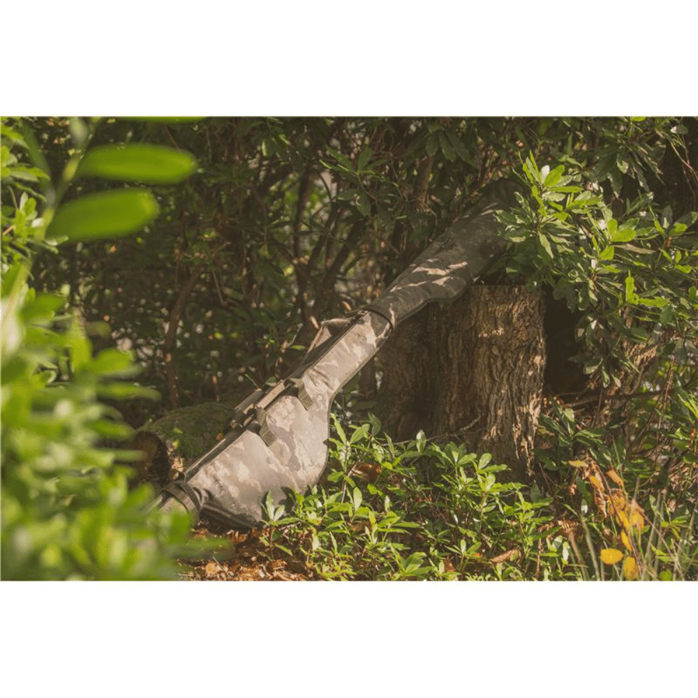 Pflanze, Baum, Baumstamm, Vegetation, Waldland