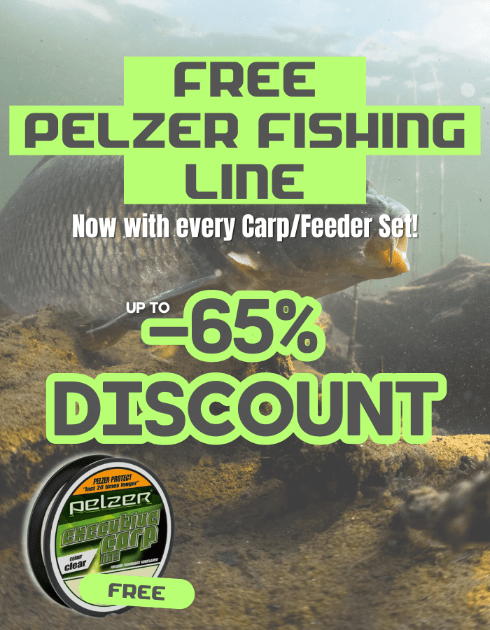 Tier, Karpfen, Fische, Leben im Meer