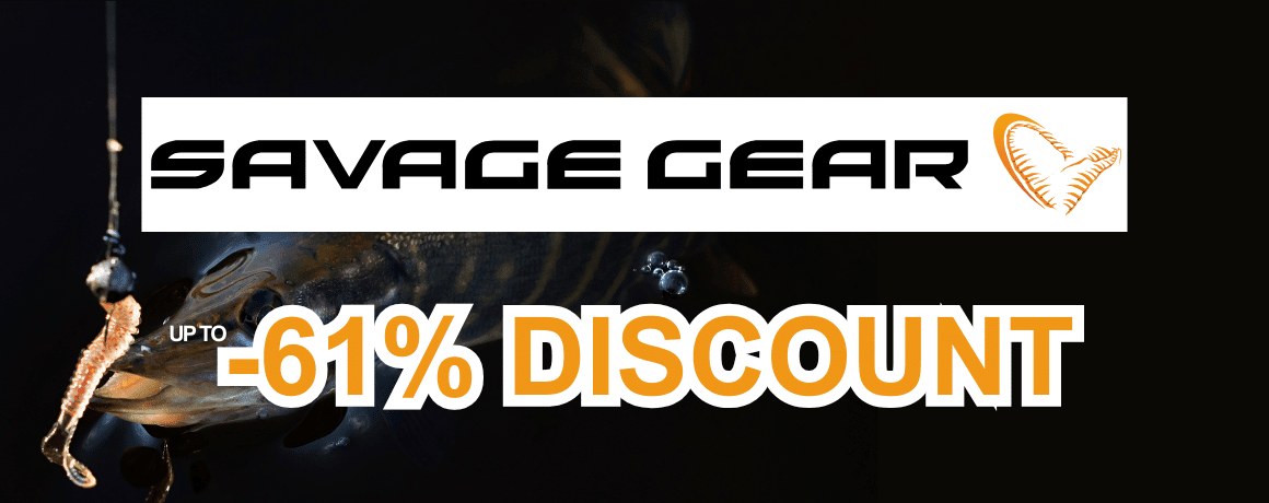 Tier, Leben im Meer, Fische