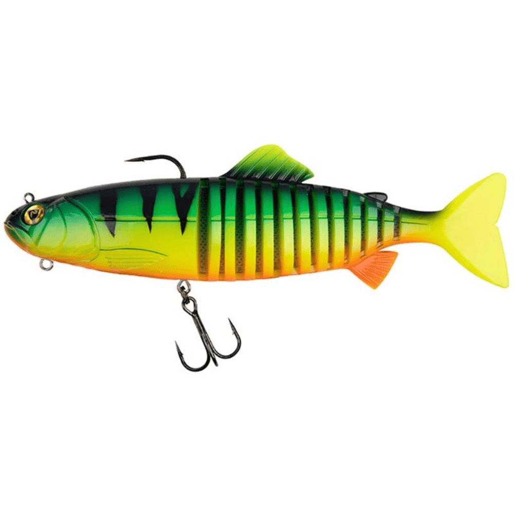 Tier, Fische, Leben im Meer