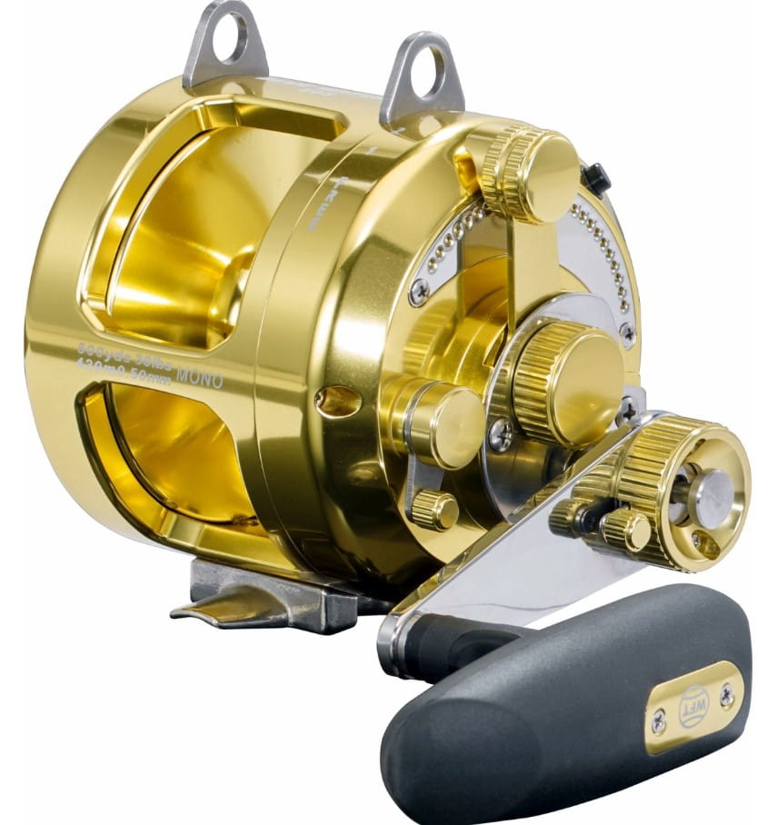 Rolle, Kamera, Elektronik