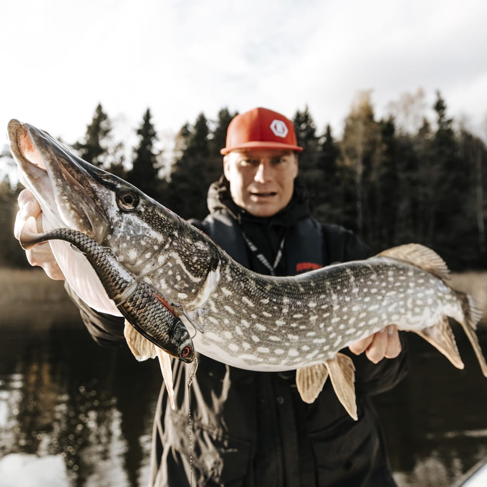 Tier, Leben im Meer, Fische, Hecht, Person