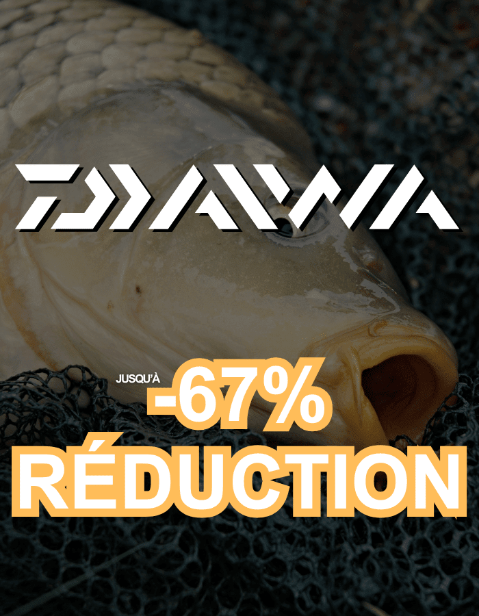 Tier, Karpfen, Fische, Leben im Meer