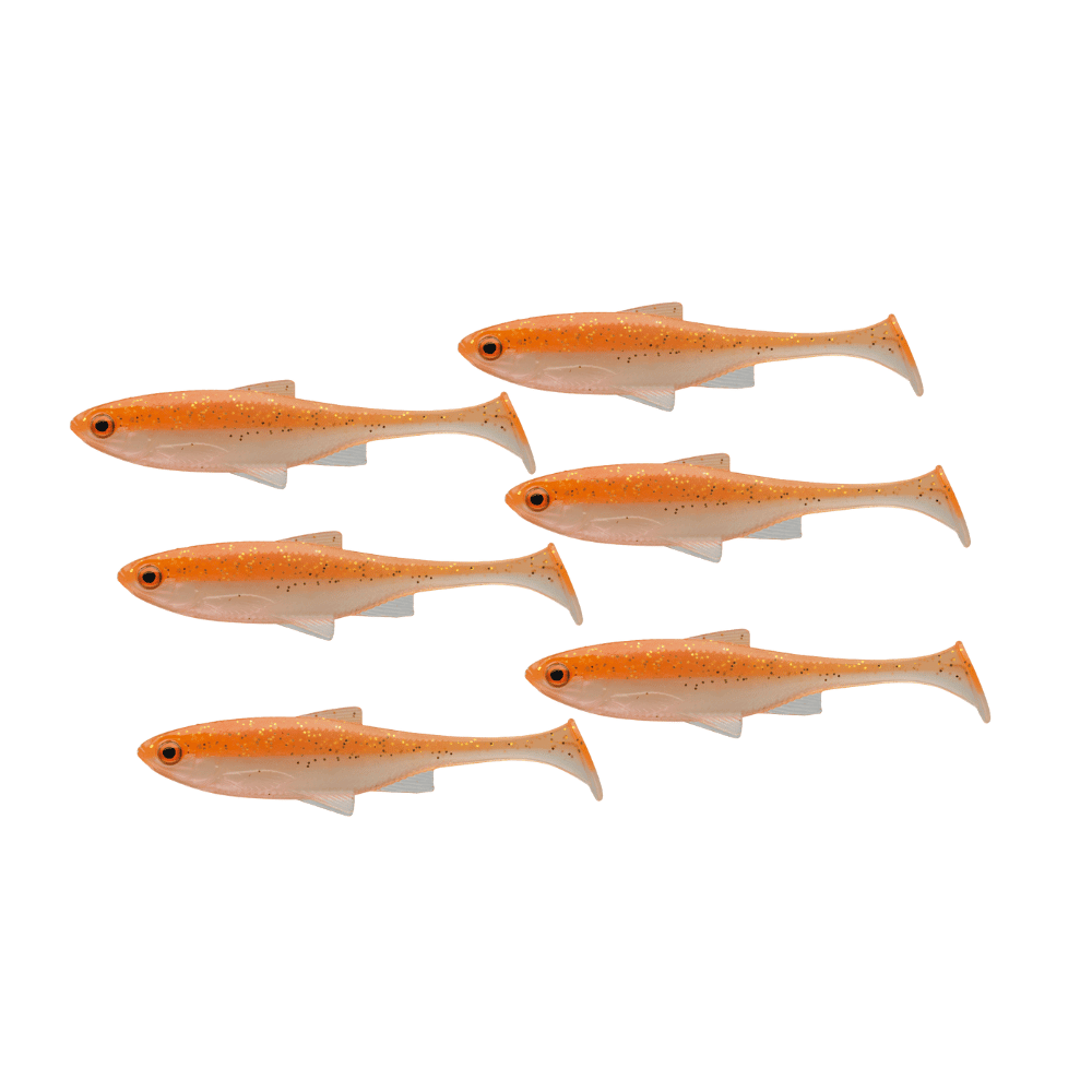 Tier, Fische, Leben im Meer