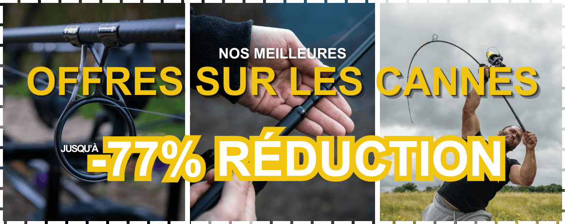 Fischen, Erwachsener, Männlich, Mann, Person