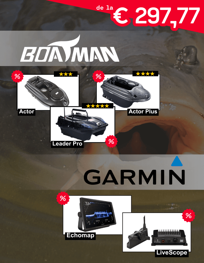 Auto, Transport, Fahrzeug