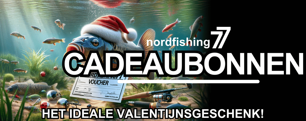 Aquatisch, Wasser, Fische, Draußen, Natur