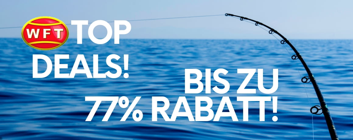 fischen, angelrute, meer, rute, banner