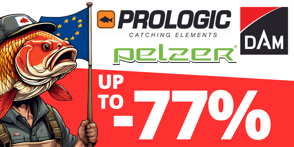 Buch, Comics, Veröffentlichung, Person