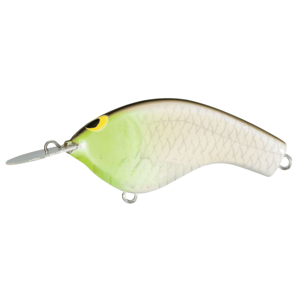 Rauchrohr, Köder zum Angeln