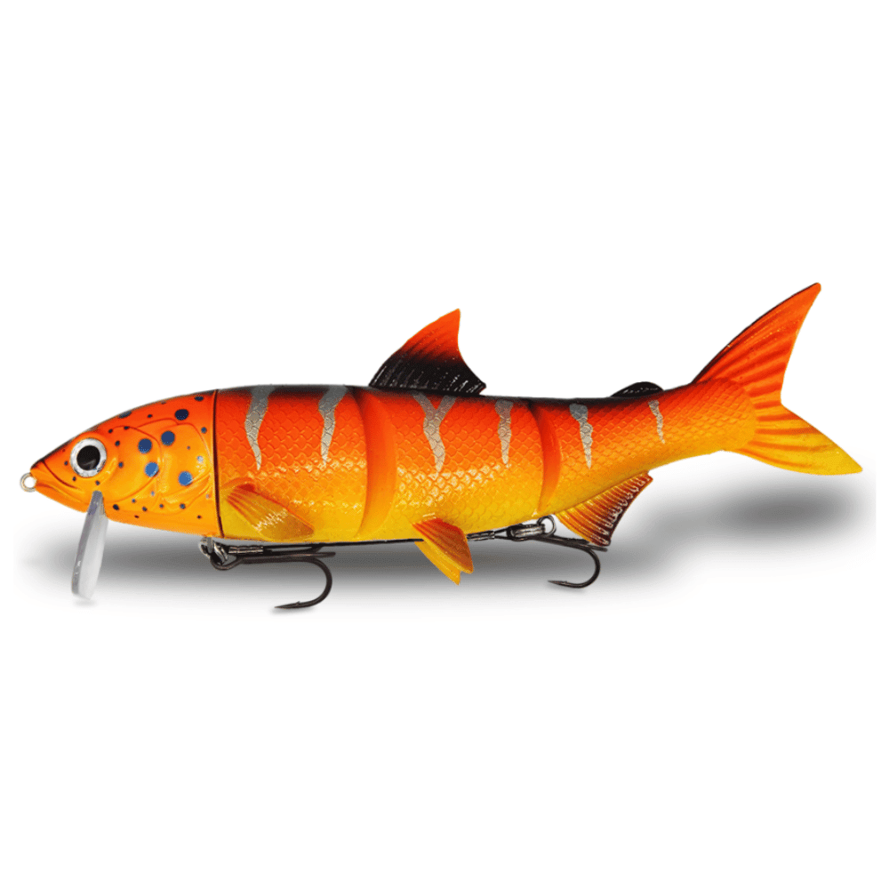 RenkyOne 25cm (10") 180 g langzaam zinkend Lava Stripez Tier, Fische, Leben im Meer