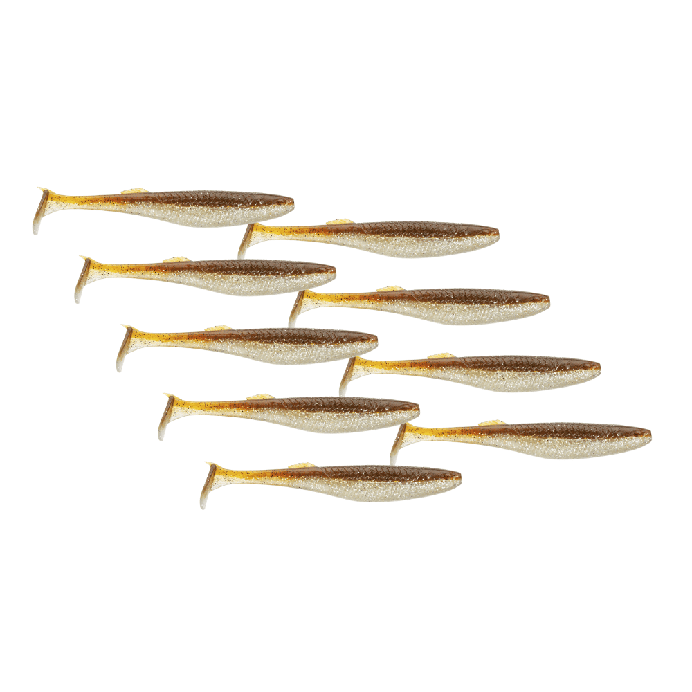 Tier, Fische, Hering, Leben im Meer, Sardine