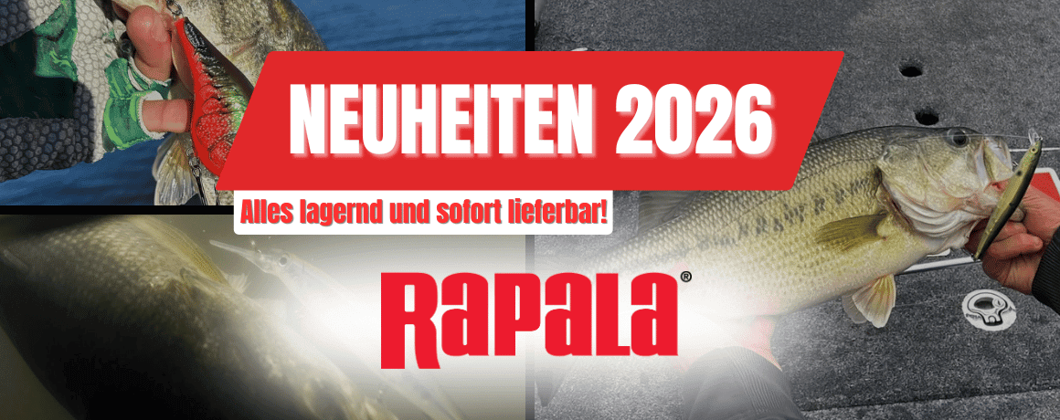 Tier, Fische, Leben im Meer