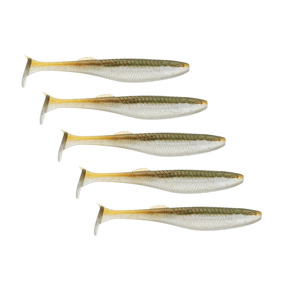 Fische, Hering, Leben im Meer, Sardine, Mörserschale