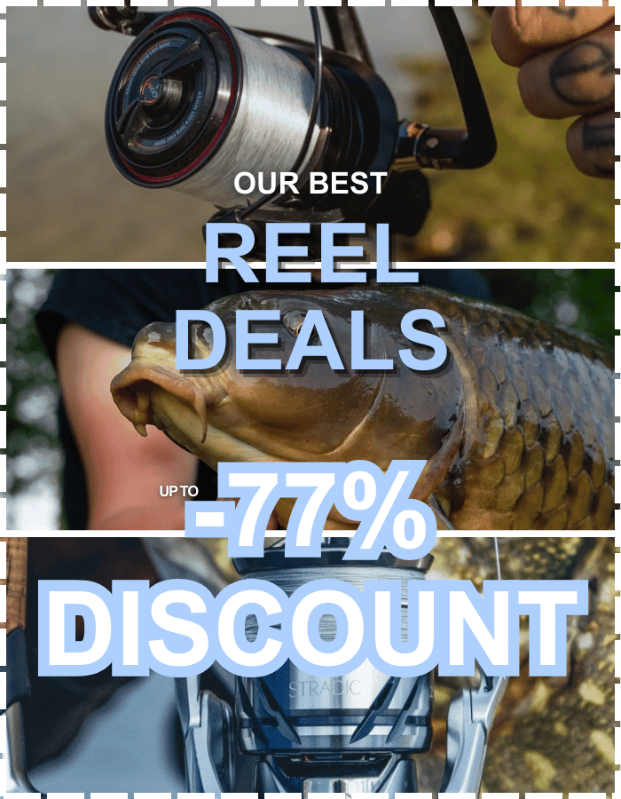 Photographie, Karpfen, Fische, Leben im Meer, Person