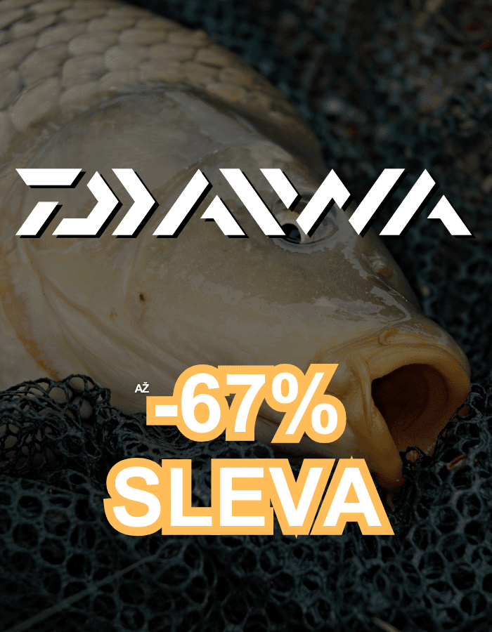 Tier, Karpfen, Fische, Leben im Meer