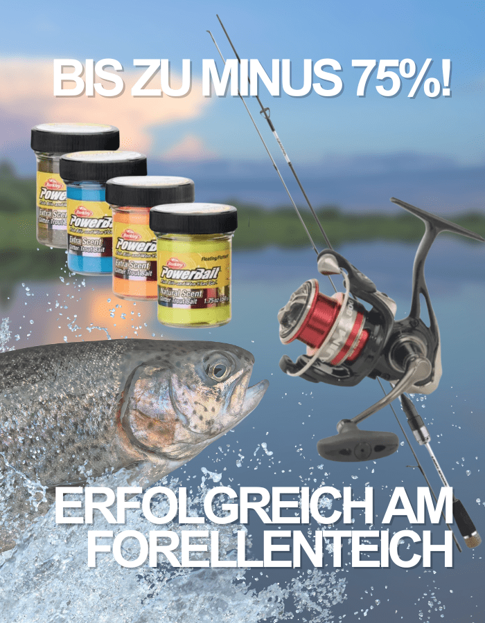 Angeln, Forelle, Angelset, Angeln Zubehör, Spinnrolle