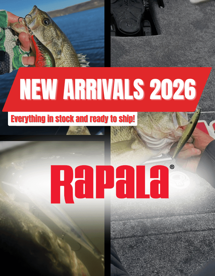 Tier, Fische, Leben im Meer, Person