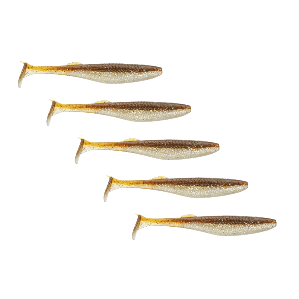 Tier, Fische, Hering, Leben im Meer, Sardine