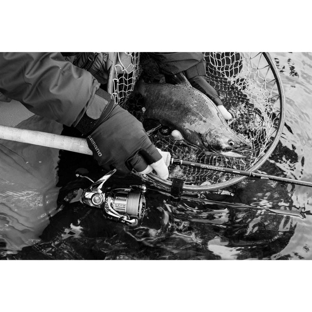 Shimano-Stella-C5000XG-13