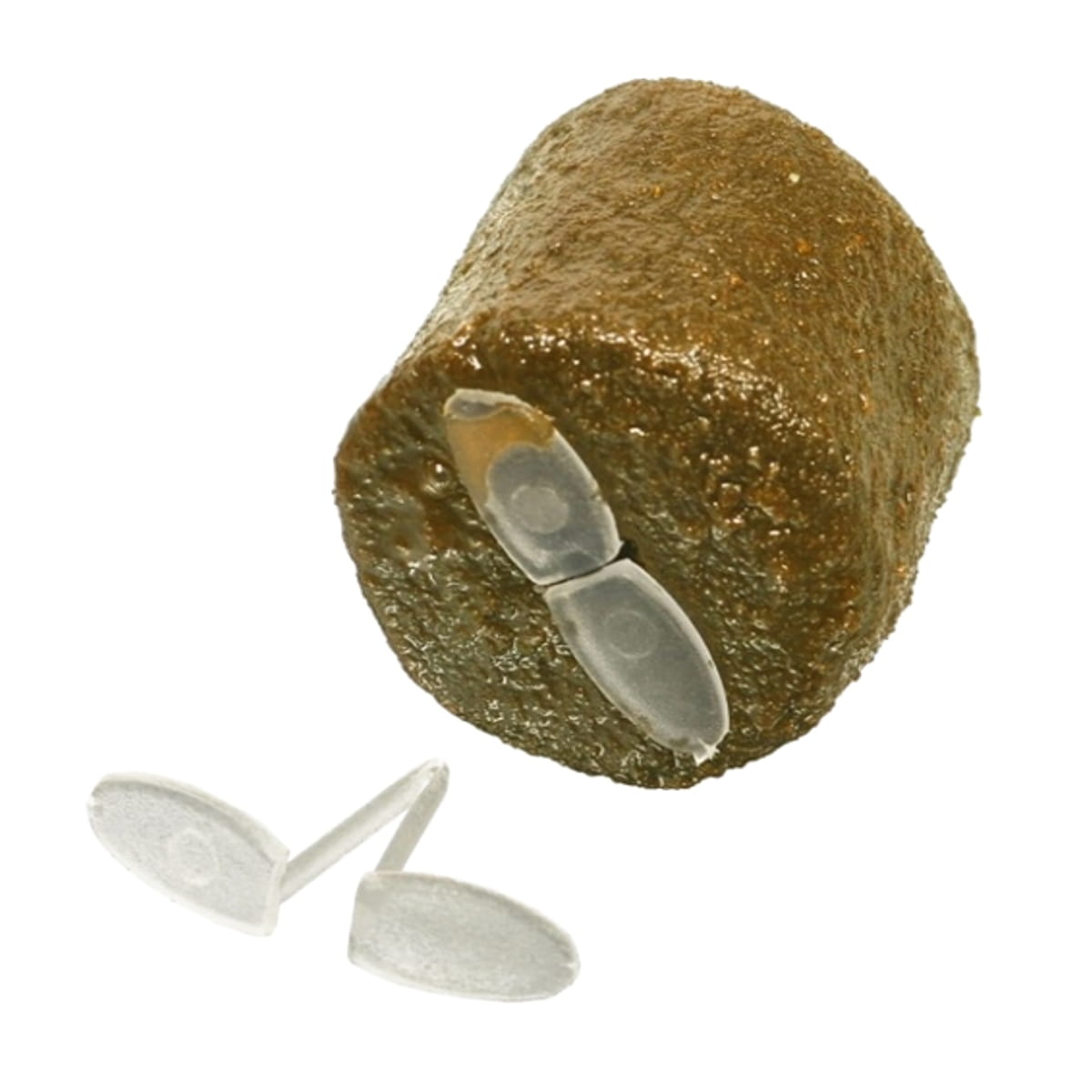 Pflanzenkugel, Samenballen, Heilung, Stein, weiße Samen