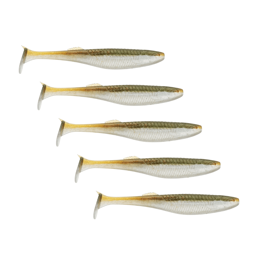 Fische, Hering, Leben im Meer, Sardine, Mörserschale