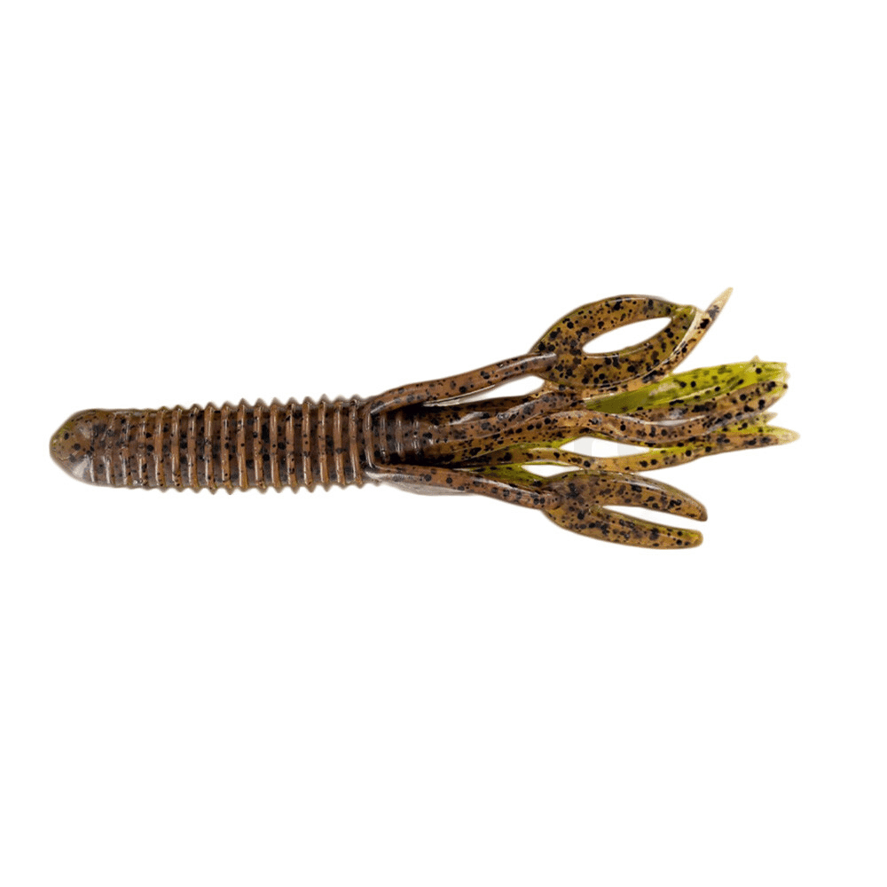 Tier, Insekt, Wirbellose