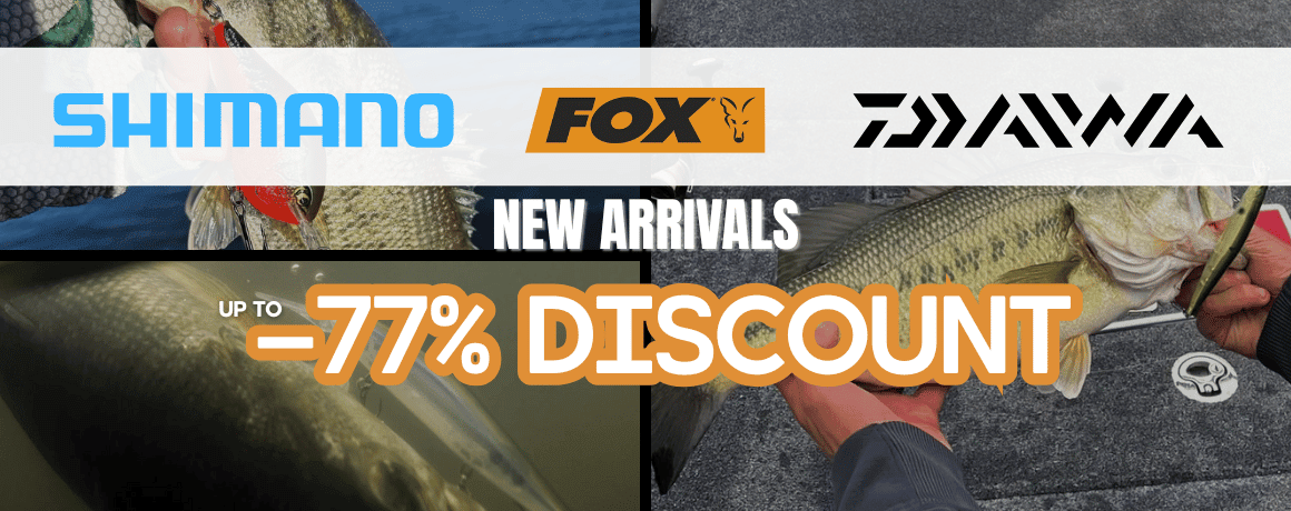 Tier, Fische, Leben im Meer