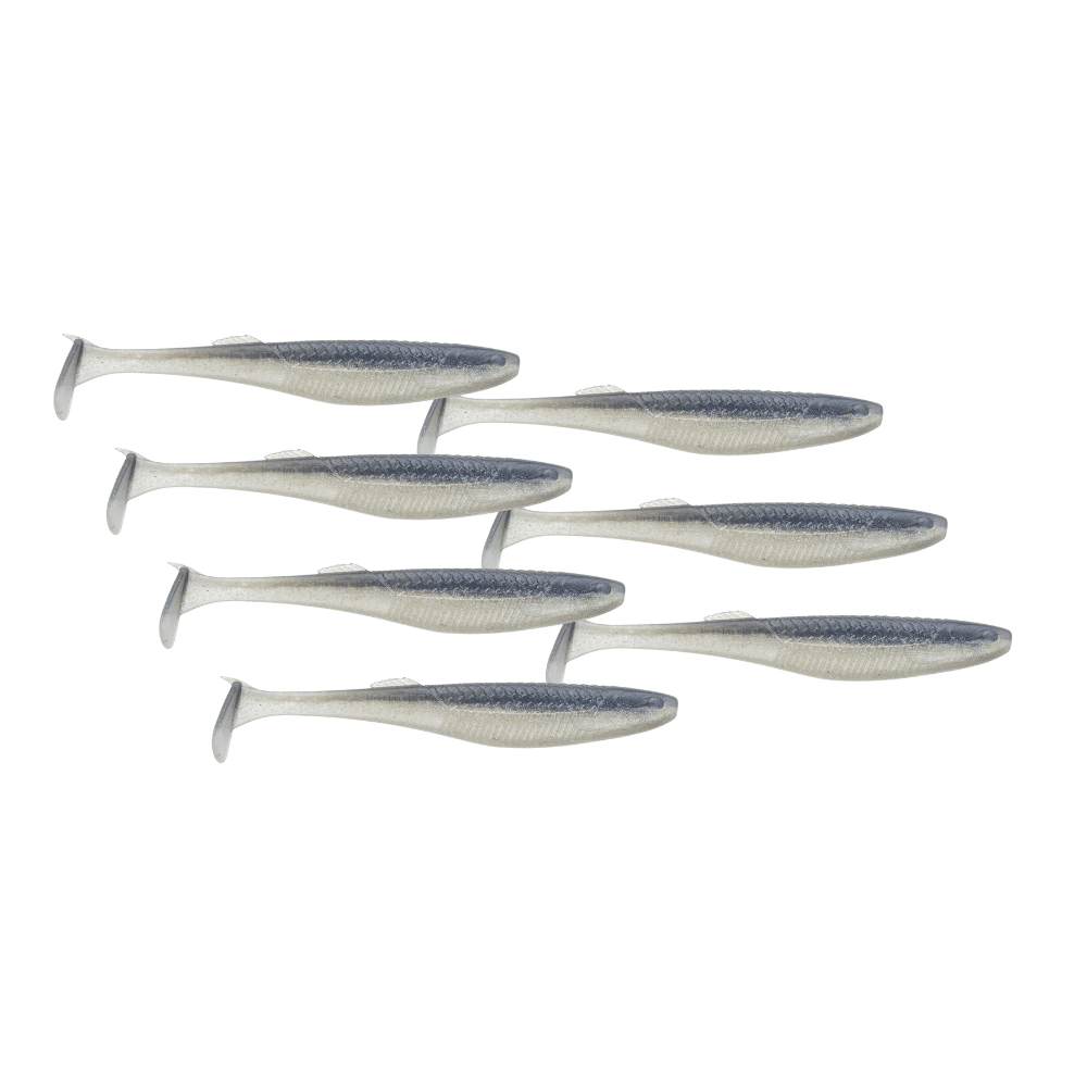 Tier, Fische, Hering, Leben im Meer, Sardine