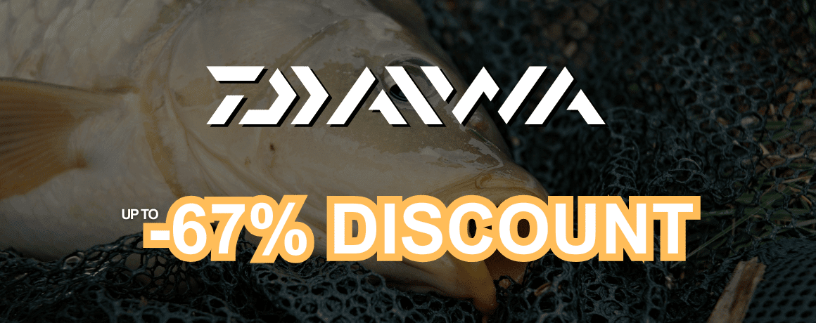 Tier, Karpfen, Fische, Leben im Meer