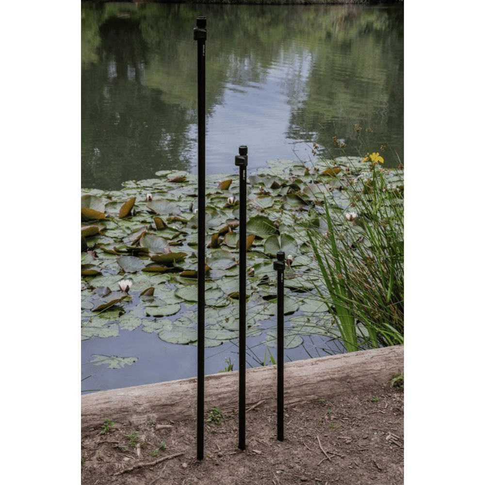 Natur, Draußen, Teich, Wasser, Land