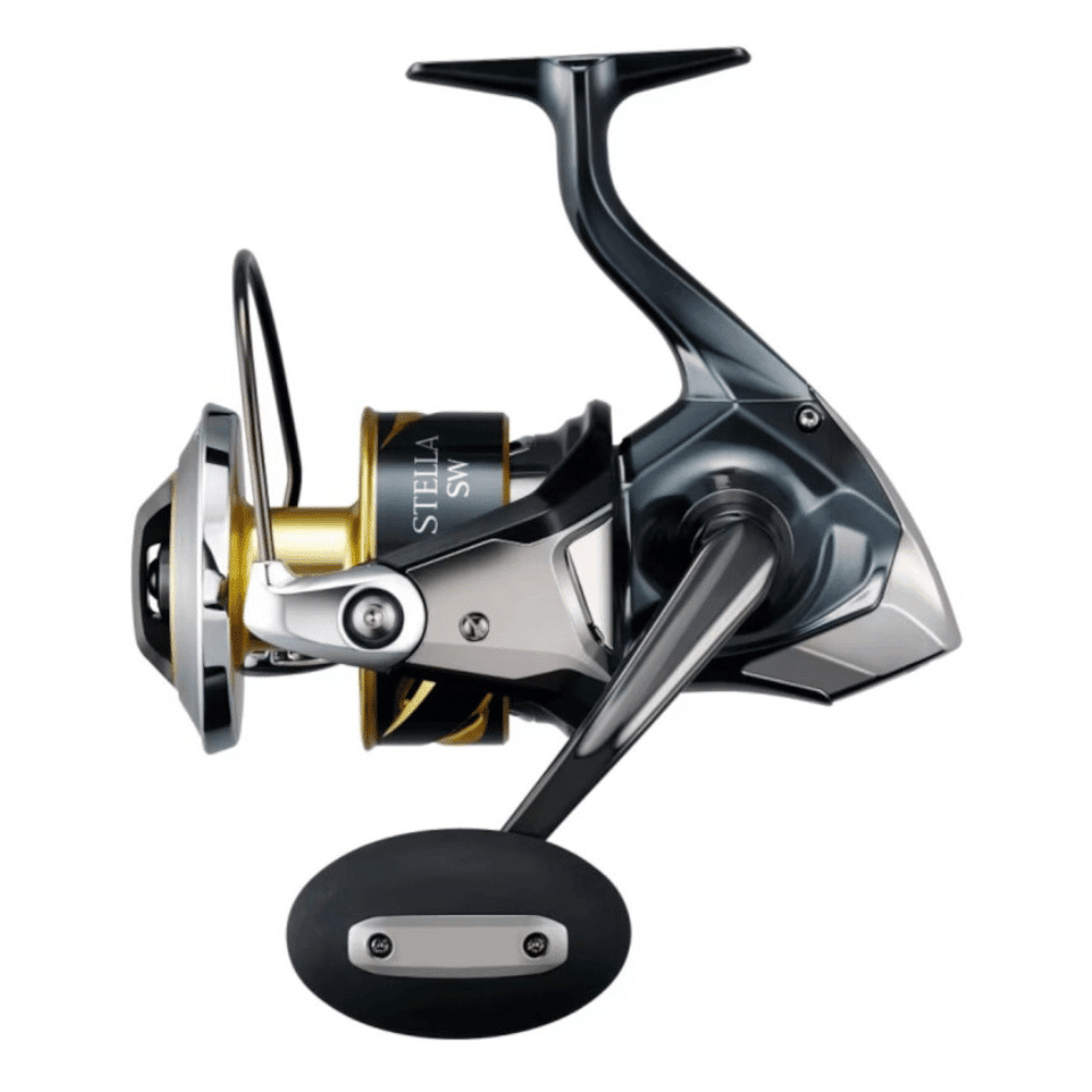 Shimano Stella SW D 14000 XG Rolle