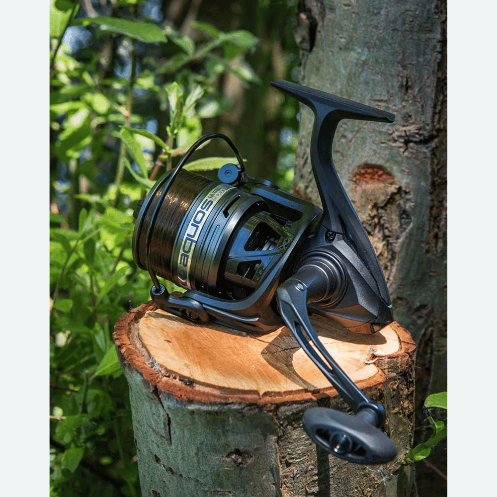 Rolle, Pflanze, Baum, Holz