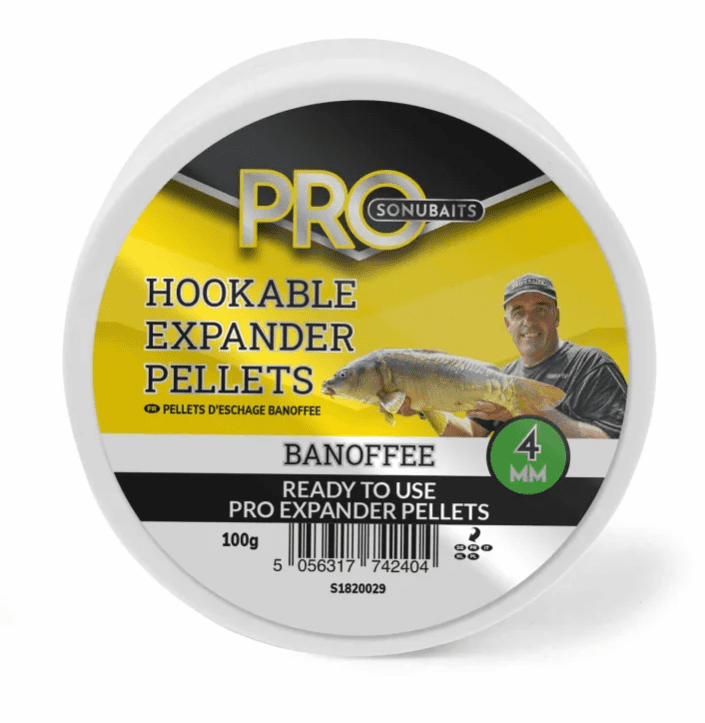 Tier, Fische, Leben im Meer