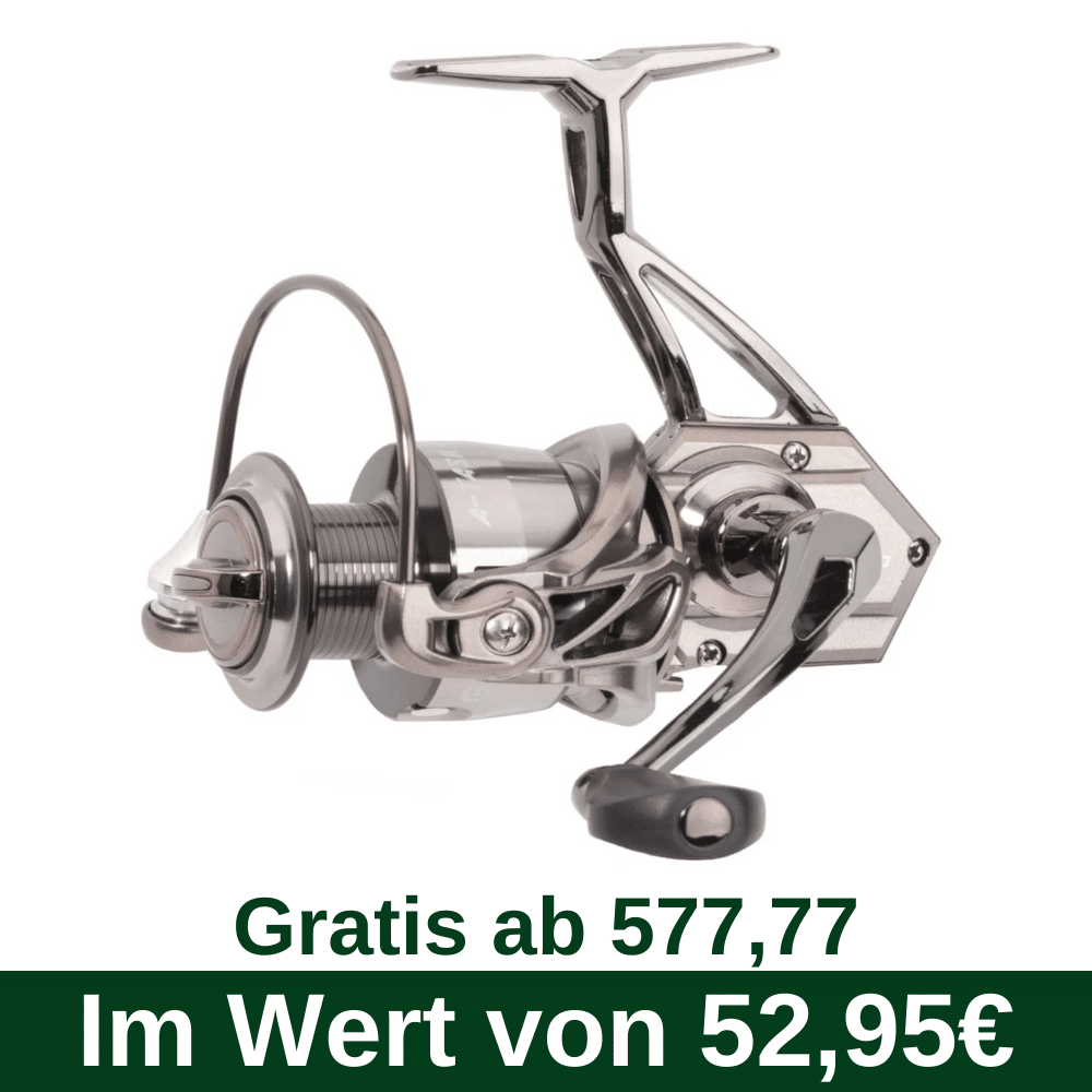 E65 Gratis vanaf 577,77 - Sänger A-Task 2000 (2720200) Rolle, Badezimmer, Drinnen, Zimmer, Duscharmatur