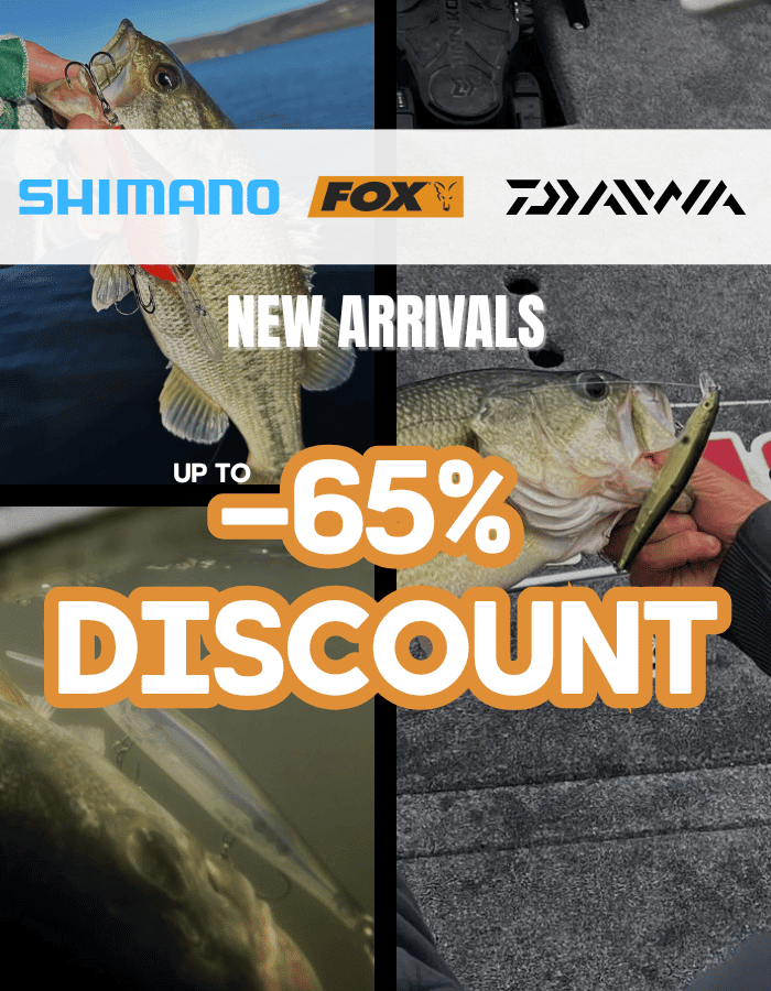 Tier, Leben im Meer, Fische